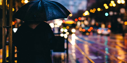 蒙特雷小将表现抢眼，劲旅添新力量